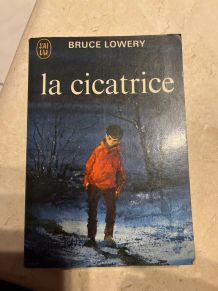 La cicatrice, Bruice Lowery (Ref. 2024-330)