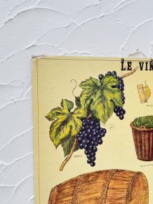 Panneau pédagogiques sur le vin