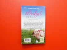 Bridget- Le Jour qui a Changé Ma Vie- Harbison Paige 