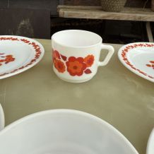 Lot lotus Arcopal 6 pieces 