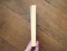 Noir Comme le Souvenir- Carlene Thompson- Folio Policier   