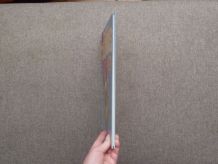 Les Blondes- Tome 8- Le Grand Huit- Gaby &amp;amp; Dzack 