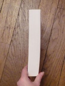 La Vérité sur L'amour et Autres Petits Mensonges 