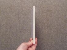 La Tapette à Mouches- Claire Céline-Les Editions des Braques