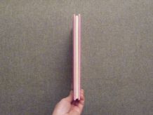 L'imagerie des Princesses- Nathalie Bélineau- Fleurus  