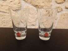 Lot de 2 verres à whisky Jameson vintage