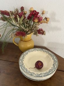 6 assiettes creuses terre de fer Salins et Moulin des Loups.