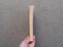 Le Crâne Percé d'un Trou- Evelyne Brisou Pellen 