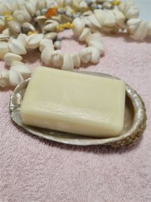 Vide poche coquillage