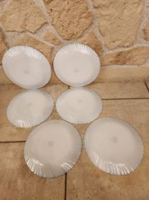 Lot 6 assiettes plates Arcopal fleuries – Vintage 70/80