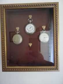 Vitrine pour 4 montres à goussets 