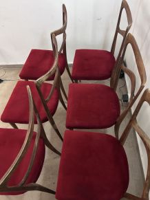 6 Chaises 1950 Consorzio Sedie Friuli  