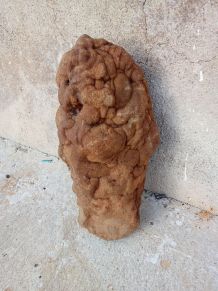 concretion appelée gogotte