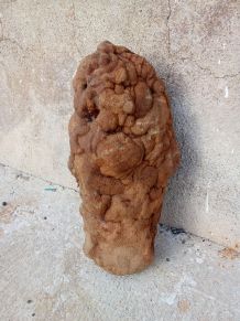 concretion appelée gogotte