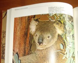 Collection HACHETTE "Les Animaux" - 8 Tomes