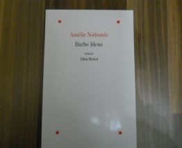 Collection de 8 Livres d'Amélie Nothomb pas cher