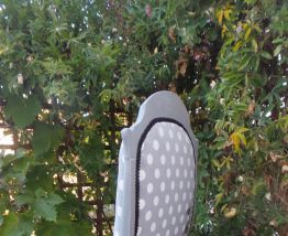 Fauteuil Voltaire petits pois 