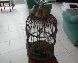 cage a oiseaux