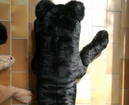 Peluche Panthère XXL
