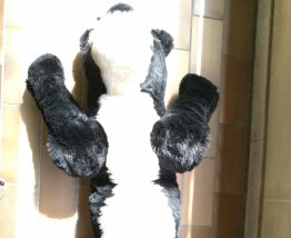Peluche Panthère XXL