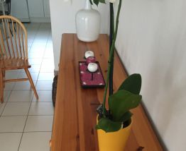 MEUBLE BAS EN PIN MASIF VERNIS 