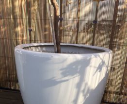 3 grands pots de fleurs en céramique blanche