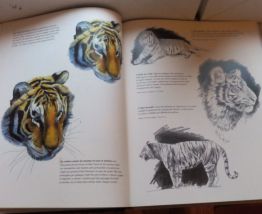 La peinture animalière de Christophe Drochon