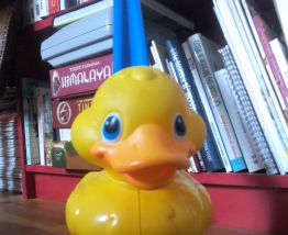 Jouet à pousser Fisher Price - Vintage