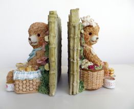 Serre livres oursons