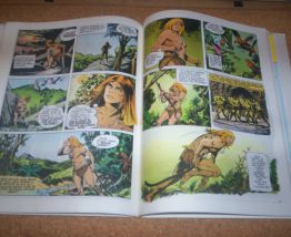 BD intégrale rahan no 2 