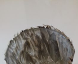 Photophore plumes beige/brun