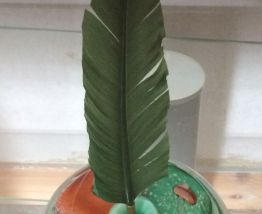 Encrier en verrerie de biot