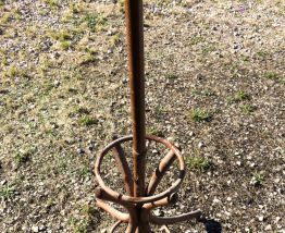 Porte manteau perroquet 