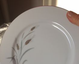 Lot assiettes porcelaine 