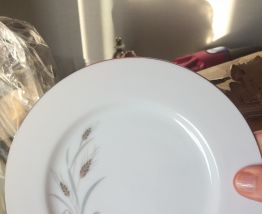 Lot assiettes porcelaine 