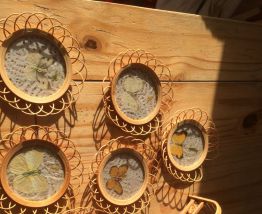 Set de 6 sous verres vintage