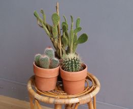 Tabouret rotin vintage Actives