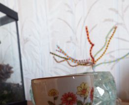 Ensemble publicitaire Bergère de France