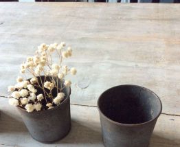 Lot de petits gobelets