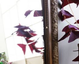 Petit miroir Louis-Philippe