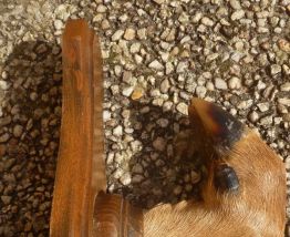 patere , patte  de chevreuil,  vintage