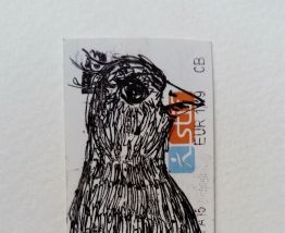 Jessica Pliez - L'oiseau Curieux 