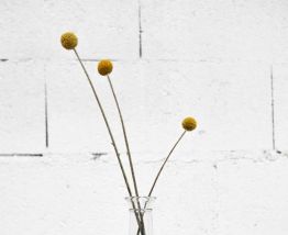 Petit vase transparent