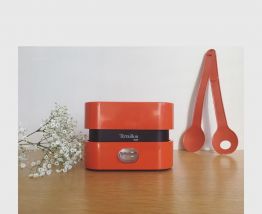 Balance terraillon 4000