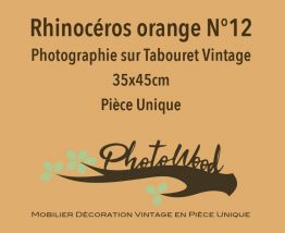 Tabouret Rhinoceros orange