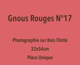  Bois Flotté Photowood Les Gnous rouges