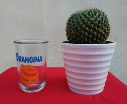 lot de 6 verres "Orangina" Matali Crasset 2006