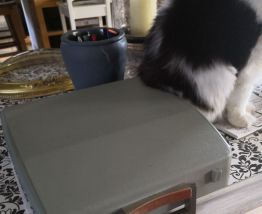 Machine à écrire vintage Brother