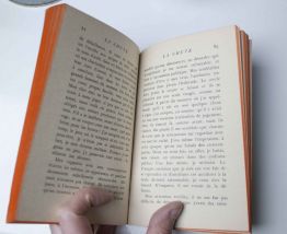 Camus La Chute roman