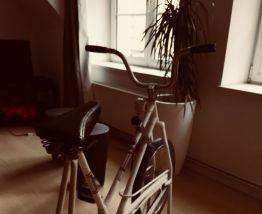 Vélo d'appartement Vintage,
